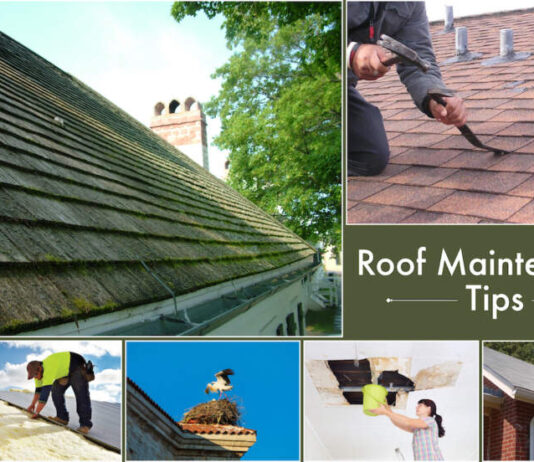 Roof Maintenance Tips